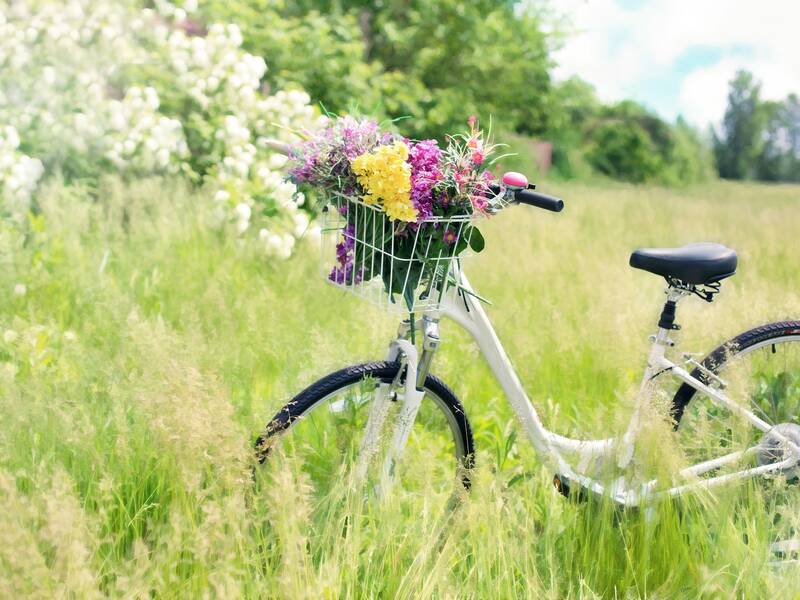 Weißes Fahrrad im kniehohen Gras mit buntem Blumenstrauß im Korb am Lenker