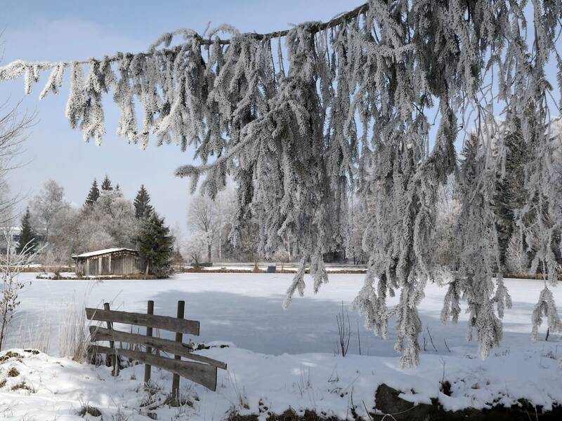 zugefrorener See, im Vordergrund ein alter Holzzaun und ein Ast einer Tanne hängt von Rechts ins Bild. Hintergrund ist ein Holzschuppen zu sehen