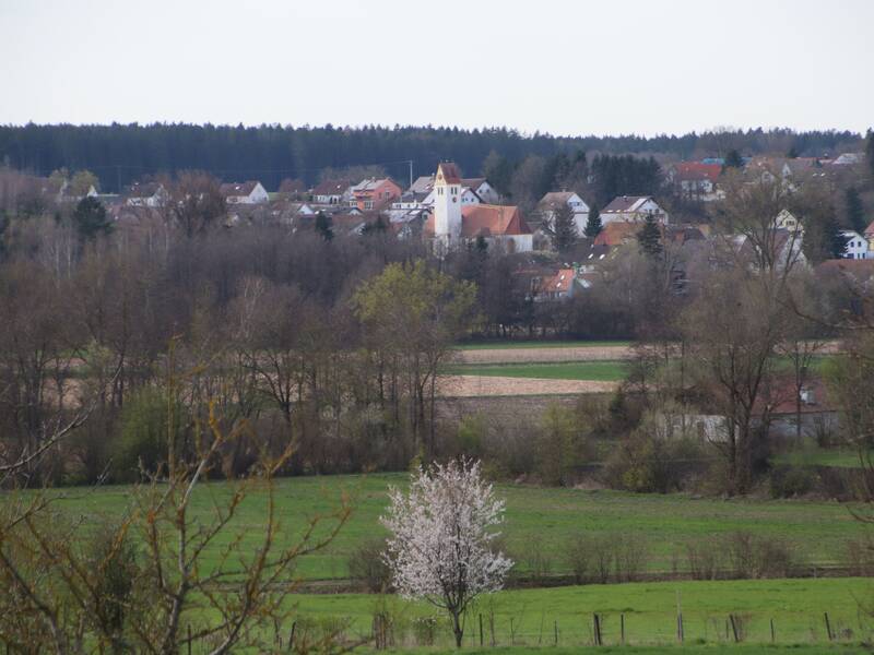 Blick auf Bußmannshausen von Großschafhausen aus. In der Bildmitte ist der Kirchturm zu sehen. im Vordergrund ein Blühender Baum. Um den Baum herum sind  Wiesen und Felder zu sehen. zwischen Baum und Kirchturm ist eine Baumreihe zu sehen. Um den Kirchturm herum sind weitere Gebäude zu sehen. 