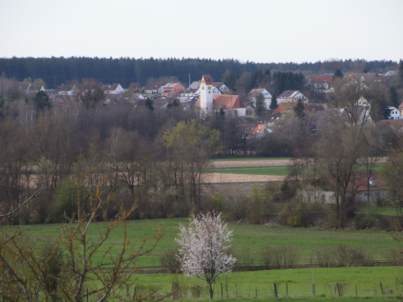 Blick auf Bußmannshausen von Großschafhausen aus. In der Bildmitte ist der Kirchturm zu sehen. im Vordergrund ein Blühender Baum. Um den Baum herum sind  Wiesen und Felder zu sehen. zwischen Baum und Kirchturm ist eine Baumreihe zu sehen. Um den Kirchturm herum sind weitere Gebäude zu sehen. 