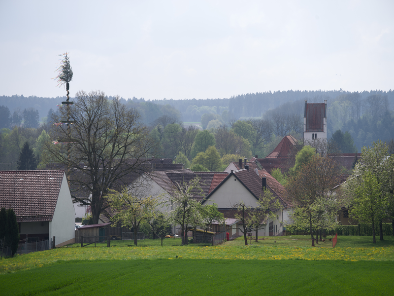 im Vordergrund eine grüne Wiese, hinten ist ein Ort zu erkennen. Ein Maibaum sowie ein Krichturm überragen Bäume und andere Häuser.