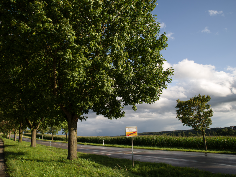 Auf der linken Seite ist ein Radweg zu sehen, der von der weiter rechts liegenden Hauptstraße durch einen Grünstreifen getrennt wird. Auf diesem Grünstreifen ist eine Reihe von großen laubbäumen zu sehen. außerdem steht dort ein Ortsausgangssschild auf dem durchgestrichen "Orsenhausen" steht und mit einem Pfeil versehen: "Großschafhausen 2km". Rechts der Straße ist im Hintergrund ein Maisfeld zu sehen.