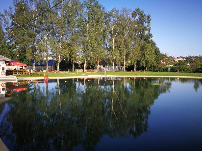 Blick vom See des Freibads auf die Baumgruppen