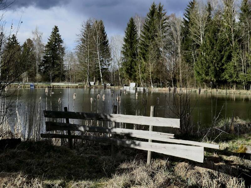 verfallener Holzzaun im Vordergrund, dahinter ein See vor einer Baumreihe mit Nadel- und Laubbäumen