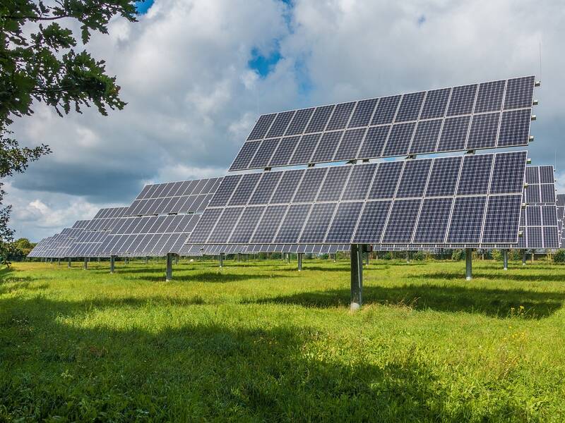 Viele Solarkolektoren auf einer grünen Wiese