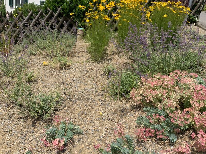 Aufnahme in Vogelperspektive von einem Garten mit braunem Boden und vereinzelt ein paar Blumen.