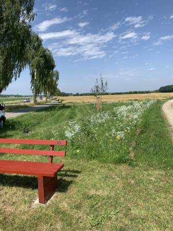 im Vordergrund steht eine rote Sitzbank. Dahinter verläuft auf einer gemähten Wiese nach rechts hinten ein Streifen Blühender Blumen, die eine Höhe von ca. 50 Centimetern haben. Hauptfarbe ist weiß. dazwischen immer wieder gelb und rot.  Links neben dem Streifen sind einige Junge Obstbäume und Sträucher zu sehen. 