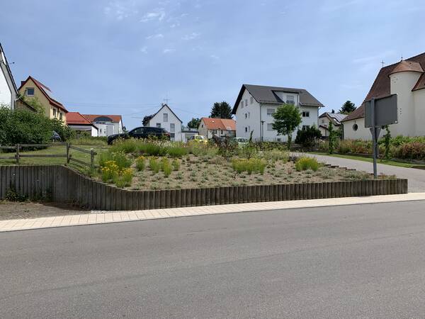 Bild des Hang östlich des Rathauses in Schwendi. im Vordergrund die Straße im Hintergrund das Beet. Hier sind viele bunte Blumen im Trockensubstrat