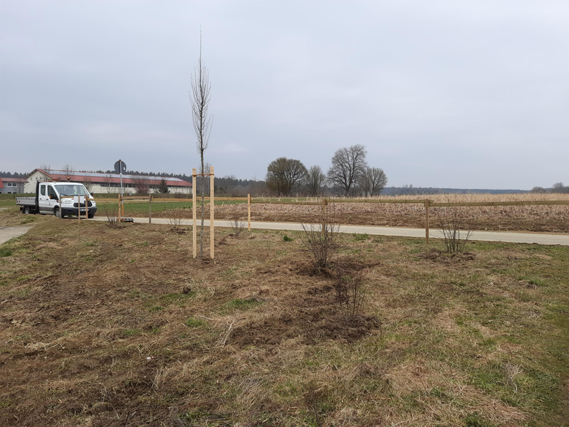 links hinten ist ein Fahrzeug mit Pritsche zu sehen, davor zwischen zwei v-förmig verlaufenden Wegen ein dreieckiger Streifen Gras, auf dem ein neu gepflanzter Baum und Sträucher zu sehen