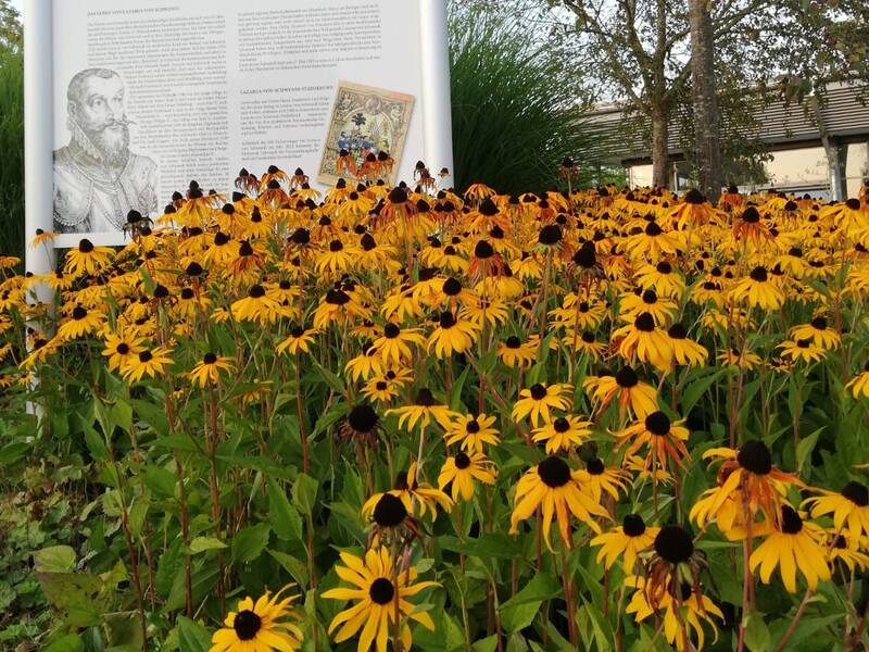 gelbe Spätsommerblumen vor dem Schild der Lazarus-von-Schwendi-Veranstaltungshalle