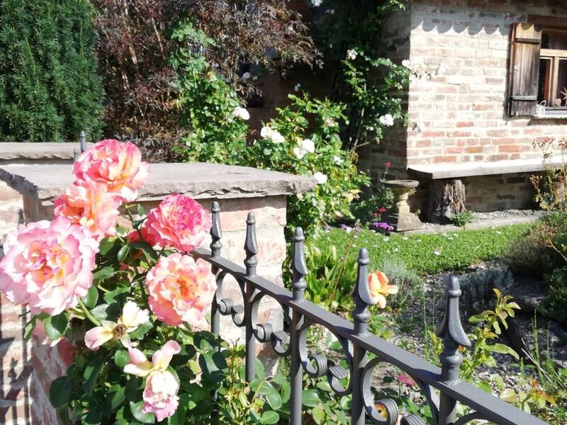 Backsteinhaus im Hintergrund, Eisenzaun Vordergrund mit rosa und weiß blühenden Rosen und grünen Büschen